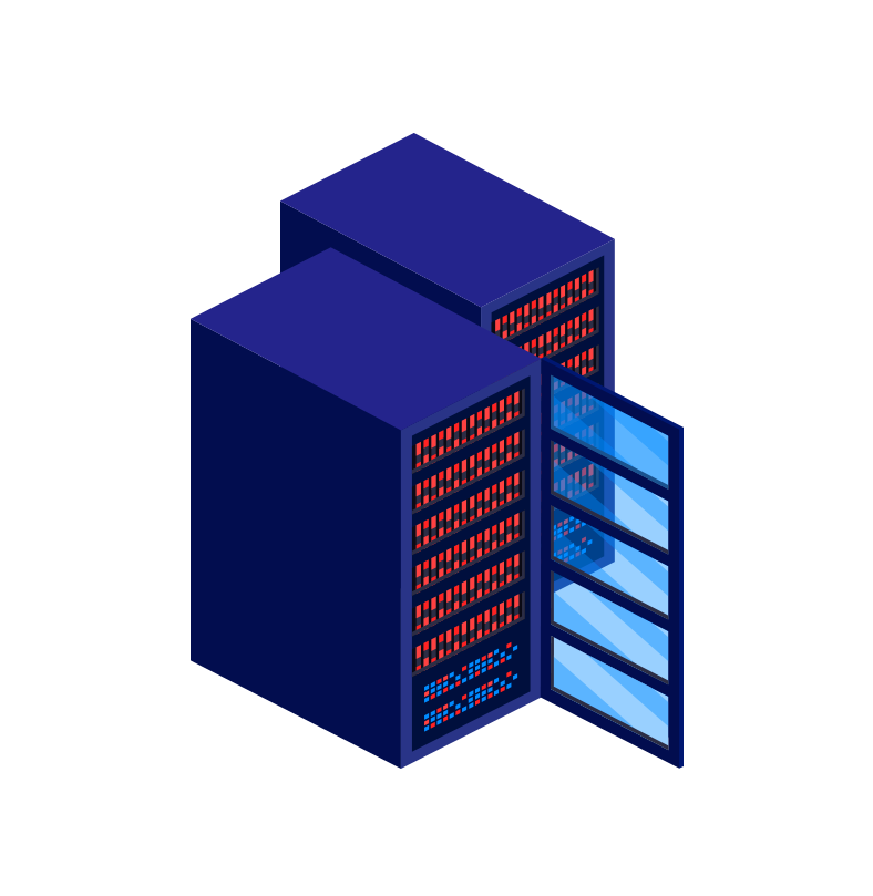 Server & Network Support